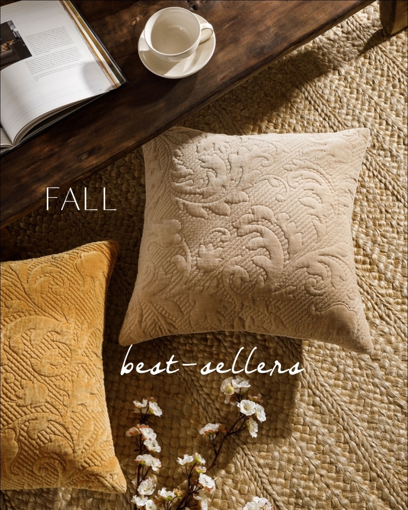 Elegant Embroidered Cushions for Stylish Homes