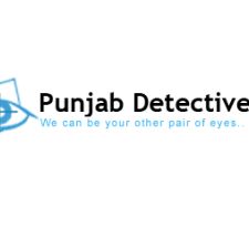 punjabdetective